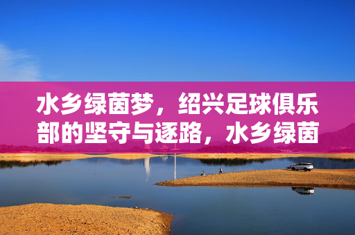 水乡绿茵梦，绍兴足球俱乐部的坚守与逐路，水乡绿茵梦，绍兴足球的坚守与逐路