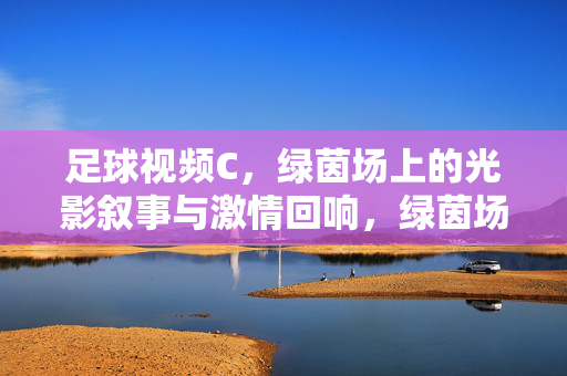 足球视频C，绿茵场上的光影叙事与激情回响，绿茵场上的光影叙事与激情回响