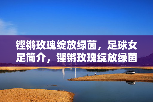 铿锵玫瑰绽放绿茵，足球女足简介，铿锵玫瑰绽放绿茵，足球女足简介