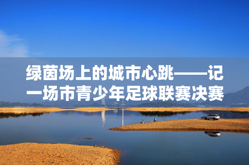 绿茵场上的城市心跳——记一场市青少年足球联赛决赛