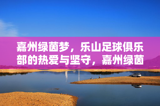 嘉州绿茵梦，乐山足球俱乐部的热爱与坚守，嘉州绿茵梦，乐山足球俱乐部的热爱与坚守