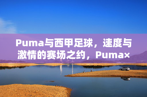 Puma与西甲足球，速度与激情的赛场之约，Puma×西甲，速度激情的赛场之约
