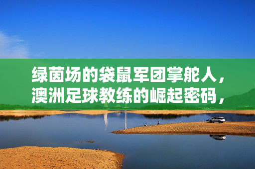 绿茵场的袋鼠军团掌舵人，澳洲足球教练的崛起密码，袋鼠军团掌舵人，澳洲足球教练的绿茵崛起密码