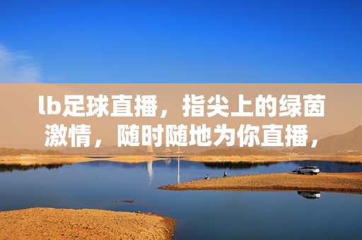 lb足球直播，指尖上的绿茵激情，随时随地为你直播，lb足球直播，指尖绿茵，激情随行