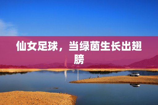 仙女足球，当绿茵生长出翅膀