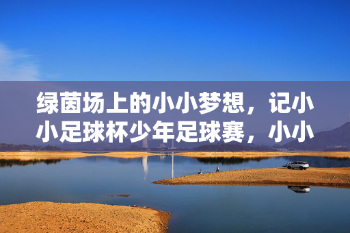 绿茵场上的小小梦想，记小小足球杯少年足球赛，小小足球杯，少年绿茵梦