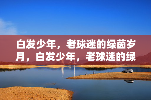 白发少年，老球迷的绿茵岁月，白发少年，老球迷的绿茵岁月