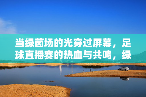 当绿茵场的光穿过屏幕，足球直播赛的热血与共鸣，绿茵光透屏幕，直播共鸣热血
