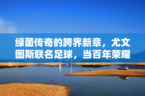 绿茵传奇的跨界新章，尤文图斯联名足球，当百年荣耀注入时代脉搏，绿茵传奇跨界新章，尤文图斯联名足球荣耀时代