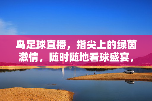 鸟足球直播，指尖上的绿茵激情，随时随地看球盛宴，鸟足球直播，指尖上的绿茵盛宴