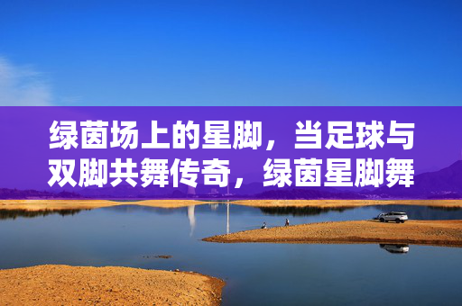 绿茵场上的星脚,当足球与双脚共舞传奇,绿茵星脚舞,足球共传奇