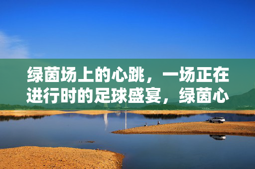 绿茵场上的心跳，一场正在进行时的足球盛宴，绿茵心跳，盛宴正当时