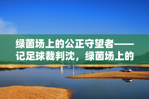 绿茵场上的公正守望者——记足球裁判沈，绿茵场上的公正守望者，足球裁判沈