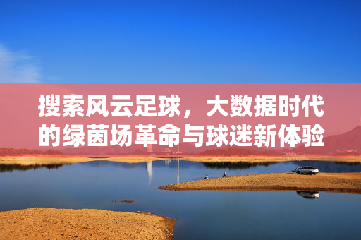 搜索风云足球,大数据时代的绿茵场革命与球迷新体验,风云足球,大数据时代的绿茵场革命与球迷新体验