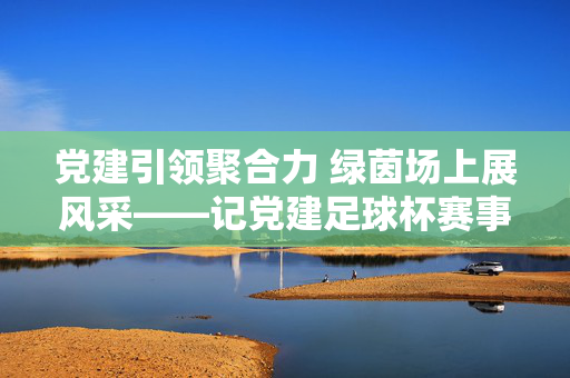 党建引领聚合力 绿茵场上展风采——记党建足球杯赛事活动，党建聚合力 绿茵展风采