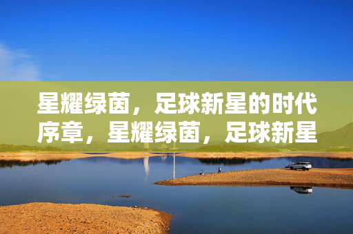 星耀绿茵，足球新星的时代序章，星耀绿茵，足球新星的时代序章