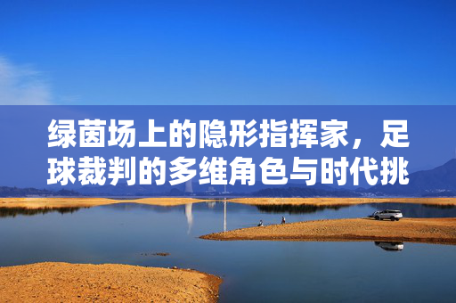 绿茵场上的隐形指挥家，足球裁判的多维角色与时代挑战，足球裁判，绿茵场的隐形指挥家与时代挑战