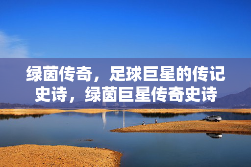 绿茵传奇，足球巨星的传记史诗，绿茵巨星传奇史诗