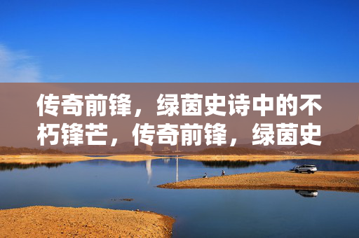 传奇前锋，绿茵史诗中的不朽锋芒，传奇前锋，绿茵史诗的不朽锋芒