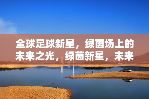 全球足球新星，绿茵场上的未来之光，绿茵新星，未来之光