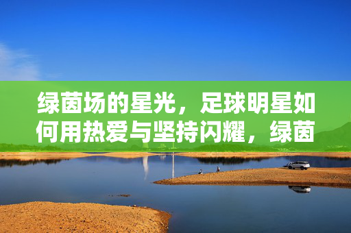 绿茵场的星光，足球明星如何用热爱与坚持闪耀，绿茵星光闪耀，足球明星的热爱与坚持