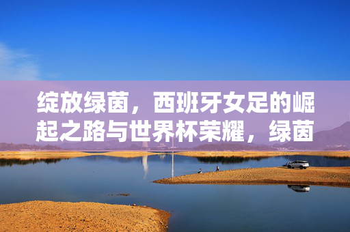 绽放绿茵，西班牙女足的崛起之路与世界杯荣耀，绿茵绽放，西班牙女足崛起问鼎世界杯