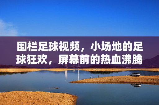 围栏足球视频，小场地的足球狂欢，屏幕前的热血沸腾，围栏足球，小场地的热血狂欢