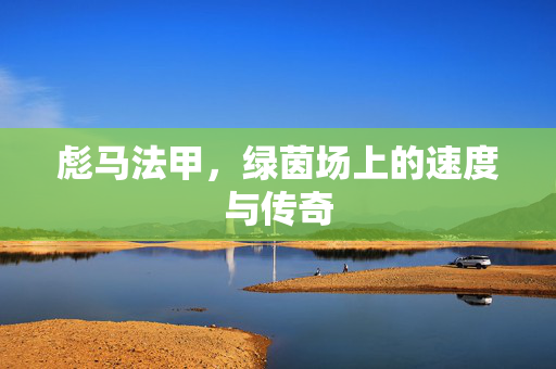 彪马法甲，绿茵场上的速度与传奇