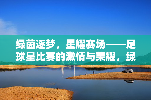 绿茵逐梦，星耀赛场——足球星比赛的激情与荣耀，绿茵逐梦，星耀荣光