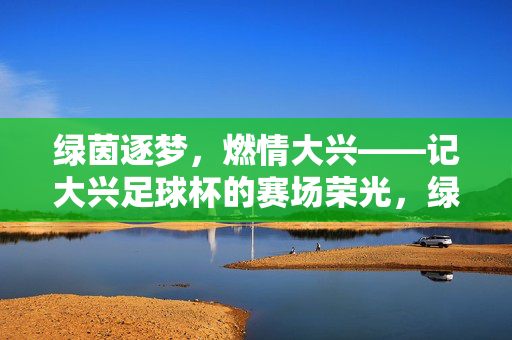 绿茵逐梦，燃情大兴——记大兴足球杯的赛场荣光，绿茵逐梦燃情 大兴足球杯赛场荣光