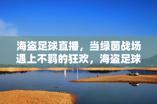 海盗足球直播，当绿茵战场遇上不羁的狂欢，海盗足球直播，绿茵战场的不羁狂欢