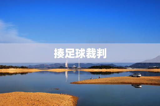 揍足球裁判