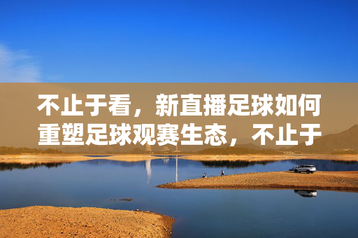 不止于看，新直播足球如何重塑足球观赛生态，不止于看，新直播足球重塑观赛生态