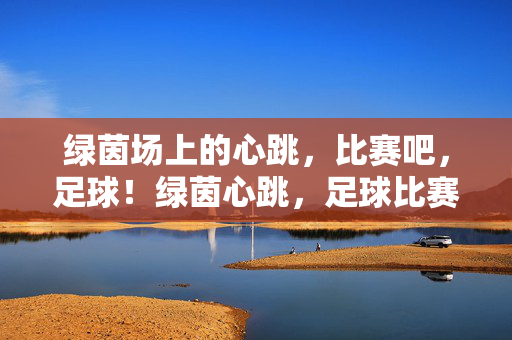 绿茵场上的心跳，比赛吧，足球！绿茵心跳，足球比赛！