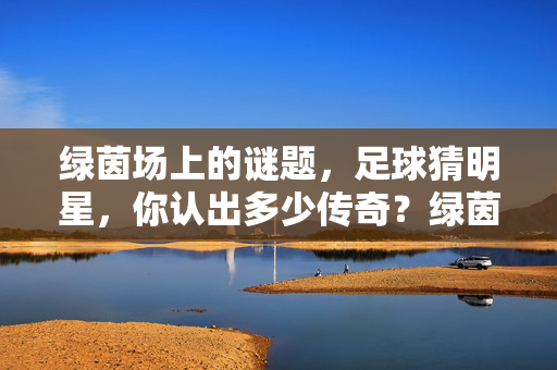 绿茵场上的谜题，足球猜明星，你认出多少传奇？绿茵传奇谜题，足球明星猜猜看