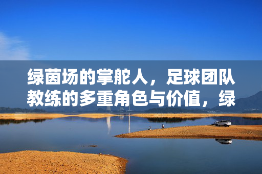 绿茵场的掌舵人，足球团队教练的多重角色与价值，绿茵场掌舵人，足球教练的多重角色与价值