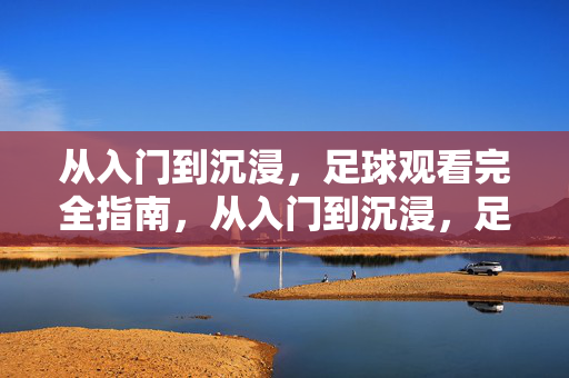 从入门到沉浸，足球观看完全指南，从入门到沉浸，足球观看完全指南