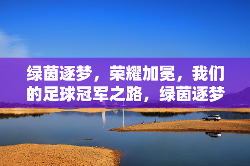 绿茵逐梦，荣耀加冕，我们的足球冠军之路，绿茵逐梦，荣耀加冕