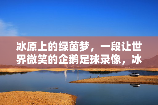 冰原上的绿茵梦，一段让世界微笑的企鹅足球录像，冰原绿茵梦，企鹅足球的微笑