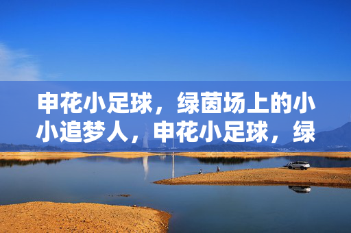 申花小足球，绿茵场上的小小追梦人，申花小足球，绿茵场上的小小追梦人