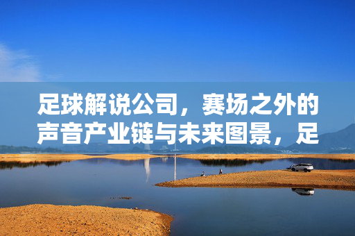 足球解说公司，赛场之外的声音产业链与未来图景，足球解说公司，赛场之外的声音产业链与未来图景