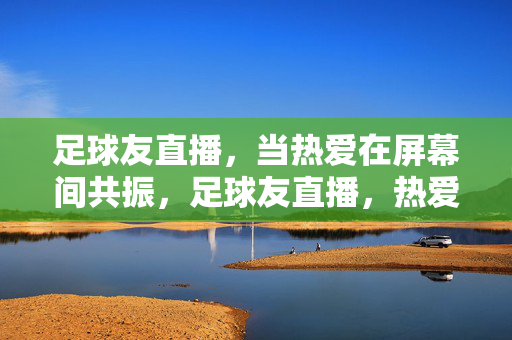 足球友直播，当热爱在屏幕间共振，足球友直播，热爱屏幕间共振