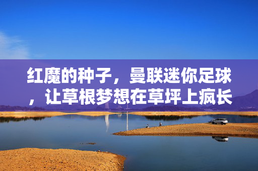 红魔的种子，曼联迷你足球，让草根梦想在草坪上疯长，红魔种子育草根，迷你足球梦疯长