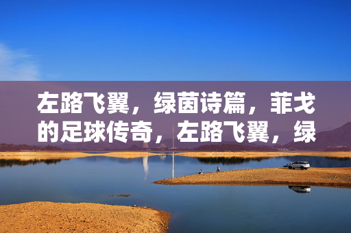 左路飞翼，绿茵诗篇，菲戈的足球传奇，左路飞翼，绿茵诗篇，菲戈传奇