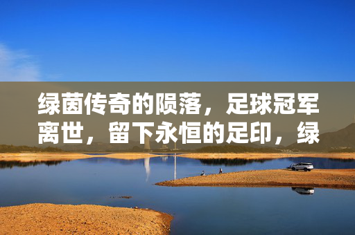 绿茵传奇的陨落，足球冠军离世，留下永恒的足印，绿茵传奇陨落，足球冠军永恒足印
