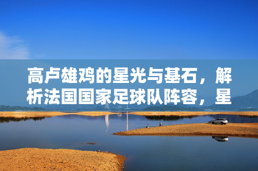 高卢雄鸡的星光与基石,解析法国国家足球队阵容,星光基石,法国队阵容解析
