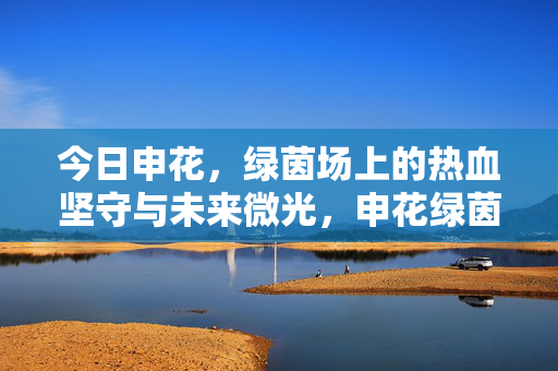 今日申花，绿茵场上的热血坚守与未来微光，申花绿茵，热血坚守与未来微光