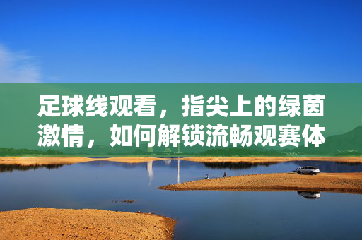 足球线观看，指尖上的绿茵激情，如何解锁流畅观赛体验？指尖绿茵激情，解锁足球线流畅观赛