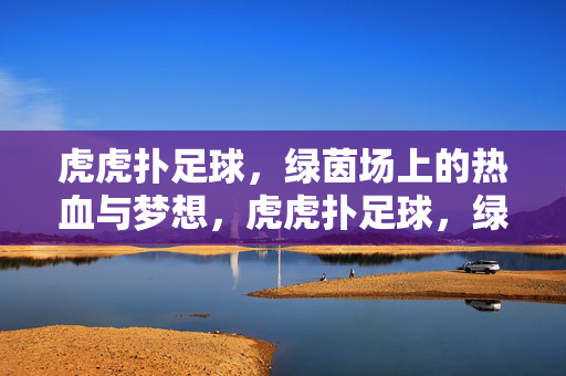 虎虎扑足球，绿茵场上的热血与梦想，虎虎扑足球，绿茵场上的热血与梦想