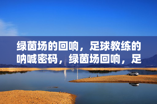 绿茵场的回响，足球教练的呐喊密码，绿茵场回响，足球教练的呐喊密码